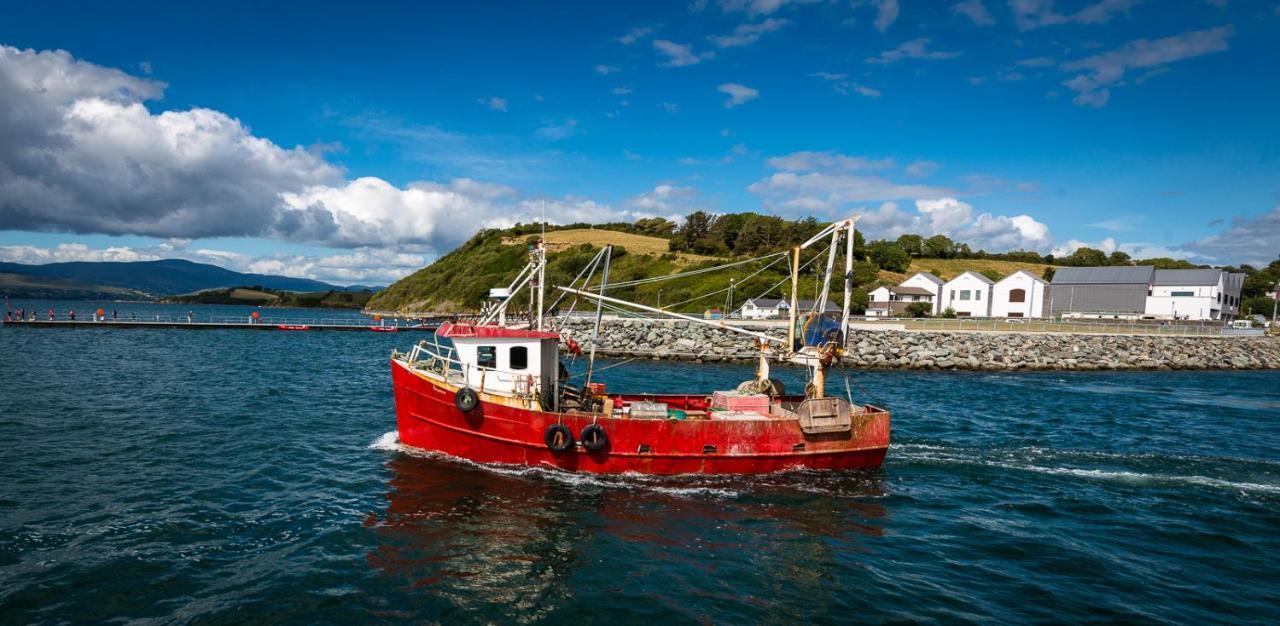 Barry'S Bed And Breakfast Bantry Exteriér fotografie